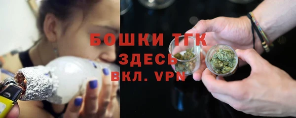 гашик Арсеньев