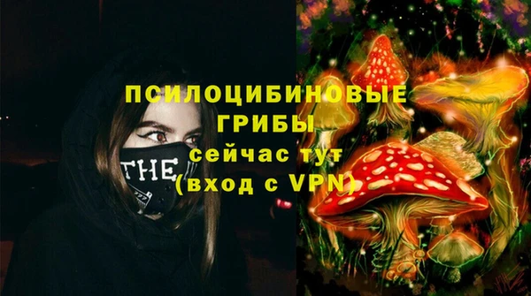 ПСИЛОЦИБИНОВЫЕ ГРИБЫ Армянск