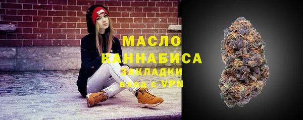 шишки Аркадак